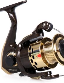 spinning-fishin_1